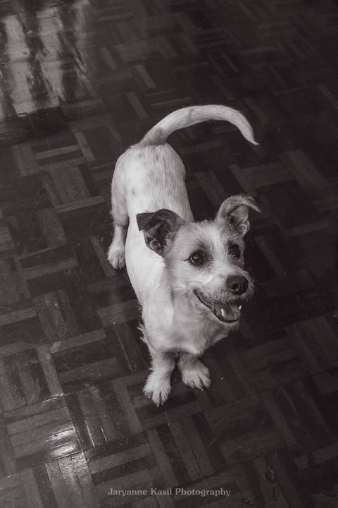 '