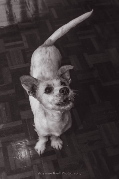 '