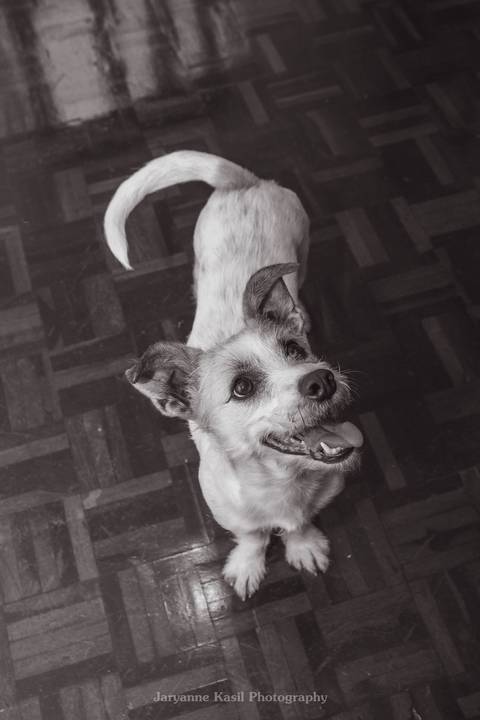 '