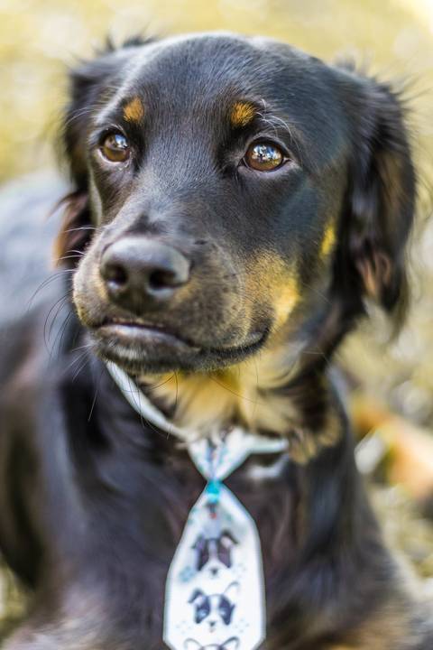 '