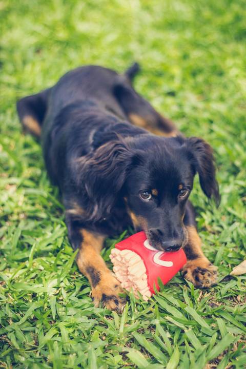 '