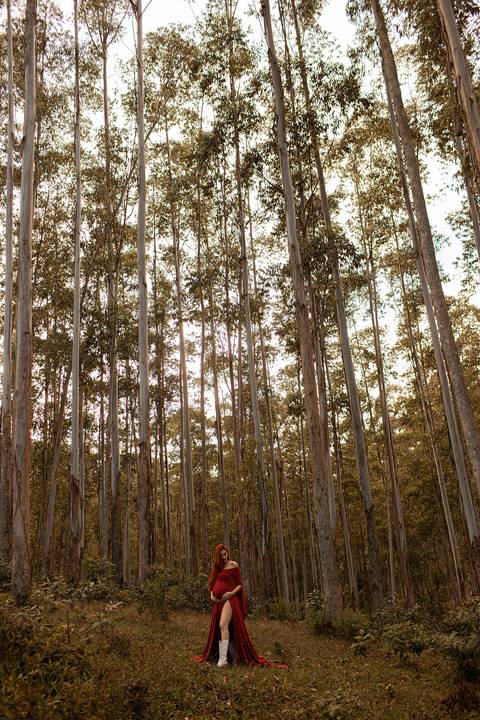 fotogravidanocampo-fotogravidanaserra-posedegravida-fotoflorianopolis'