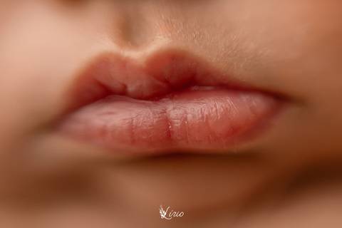 fotonewbornestudio-posenewborn-fotonewborn-estudioflorianopolis'