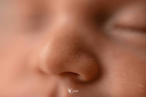 fotonewbornestudio-posenewborn-fotonewborn-estudioflorianopolis'