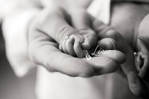 newborn, newbornemflorianopolis, recemnascido, fotoderecemnascido, fotografadebebe, fotobebeflorianopolis, fotografoemflorianopolis, newbornboy, fotosdemenino, fotosdefamilia, familyphotography, photography'