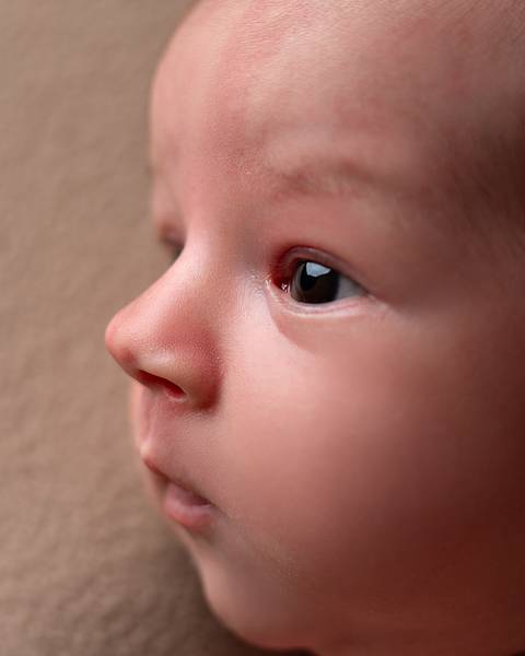 Bebê recém-nascido em Ensaio Newborn em Natal/RN, no Estúdio Amoradia Foto. '