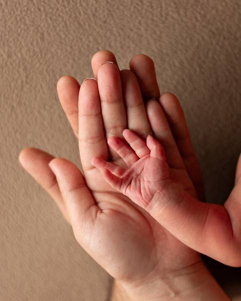 Ensaio Newborn em estúdio. Mãos dos pais e do recém-nascido. '