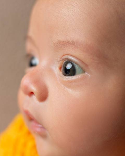 Ensaio Newborn de Harry Potter'