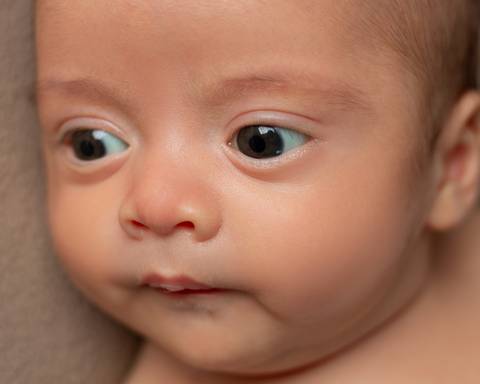 Bebê recém-nascido em ensaio Newborn acordado'