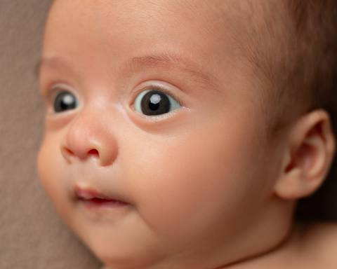 Bebê recém-nascido em ensaio Newborn acordado'