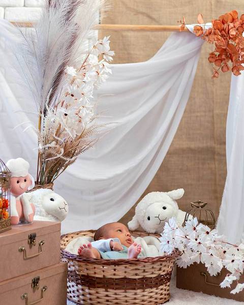 Ensaio de acompanhamento. Bebê de 1 mês'