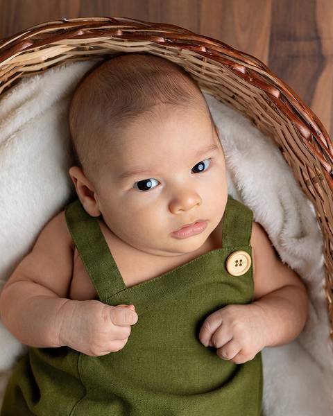 Ensaio de acompanhamento do bebê. 2 meses'