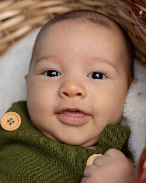 Ensaio de acompanhamento do bebê. 2 meses'