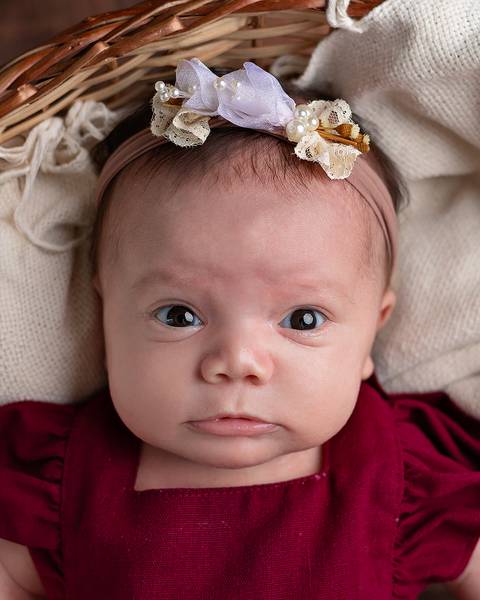 Ensaio de Acompanhamento de 1 mês da bebê'