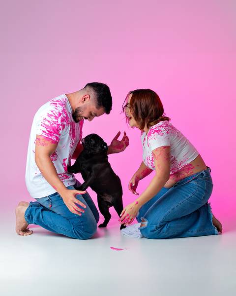 Ensaio de revelação de gênero do bebê.'