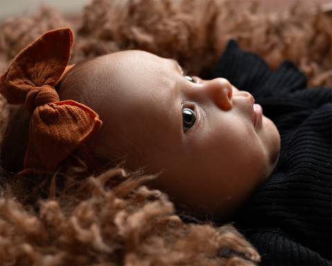 Ensaio de Acompanhamento do bebê em estúdio'