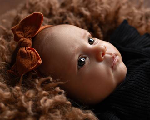 Ensaio de Acompanhamento do bebê em estúdio'