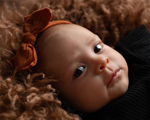 Ensaio de Acompanhamento do bebê em estúdio'