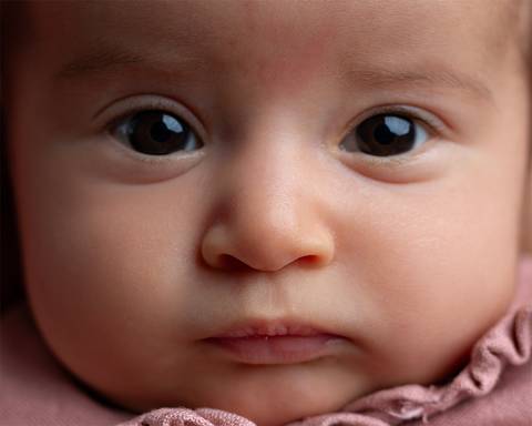 Ensaio de Acompanhamento do bebê em estúdio'