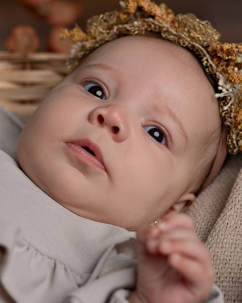 Ensaio de Acompanhamento do bebê em estúdio'