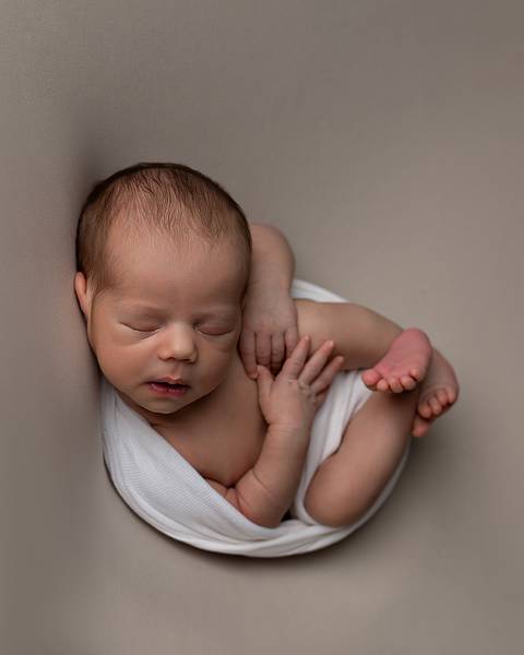 fotos de bebê recém-nascido em estúdio'