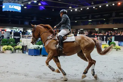 Foto E-commerce em SP'