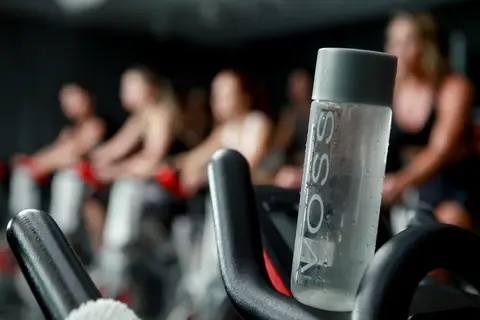 Voss'