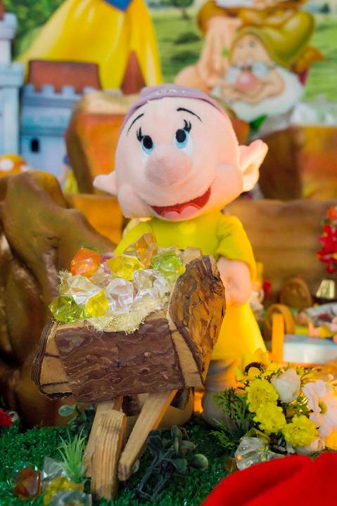 fotografa infantil e aniversario no tatuape. fotos decoraçao festa branca de neve, foto do anão dunga'