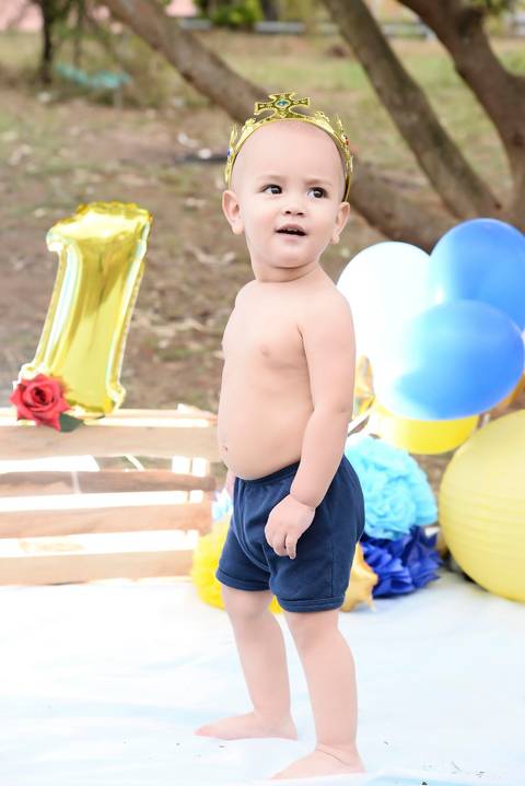 smash the cake externo, ensaio do bolo tema pequeno principe, fotografa infantil tatuape'