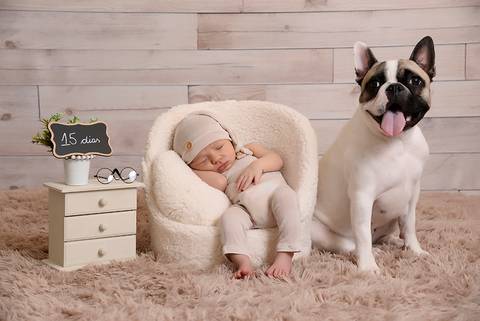 newborn menino, ensaio newborn tatuape, newborn em casa, fotografa newborn, ensaio newborn com pet'