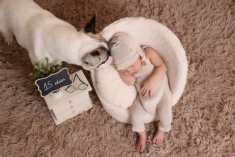 newborn menino, ensaio newborn tatuape, newborn em casa, fotografa newborn, ensaio newborn com cachorro'