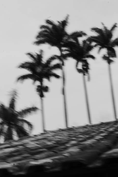 '