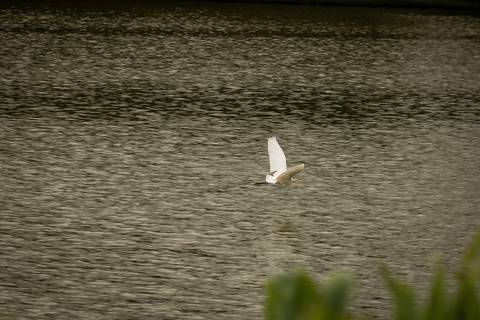 fotógrafo de casamento em BH'