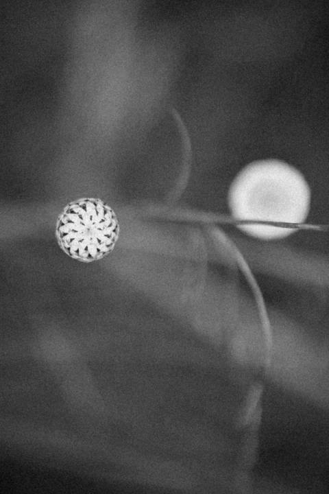 ensaio antes do casamento'