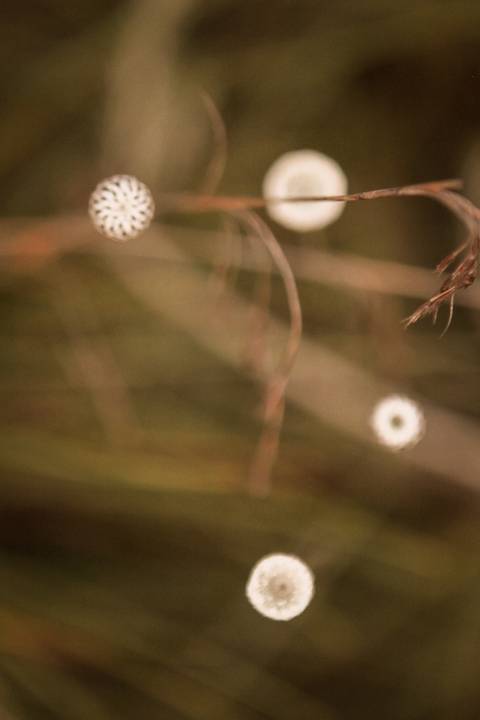 ensaio antes do casamento'