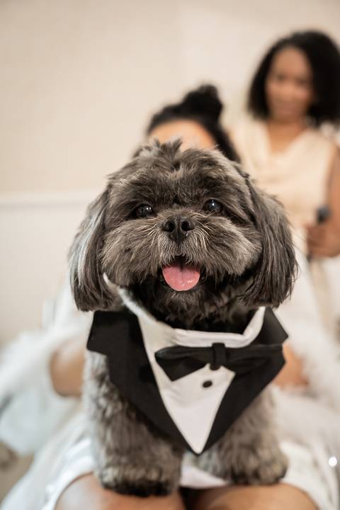 Fotógrafa de casamento em Contagem'