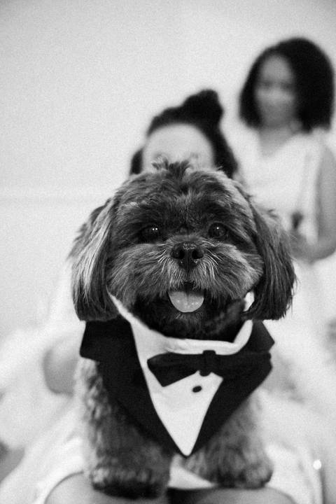 Fotógrafa de casamento em Contagem'
