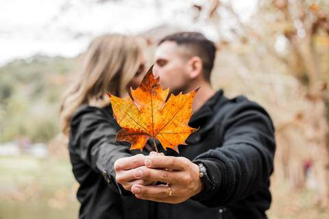 Ensaio fotográfico em Nova Friburgo, Nova Friburgo, Pré-wedding, casal, casamento 2025'