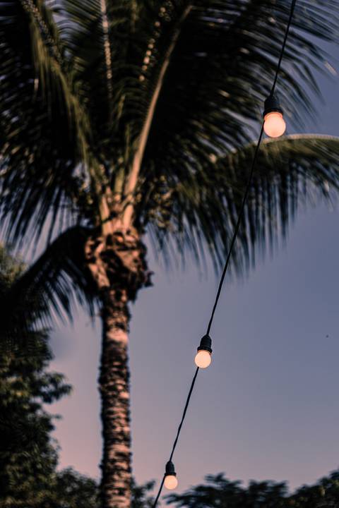 '