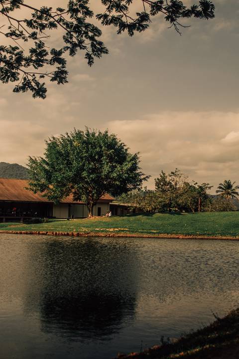 '