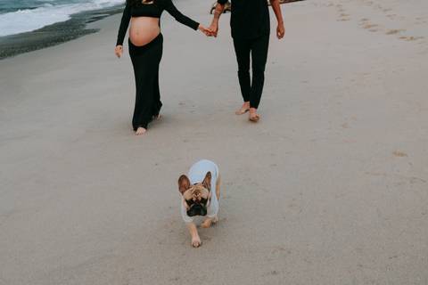 Gestante caminhando na praia acompanhada de seu cachorro durante ensaio fotográfico em Ubatuba.'