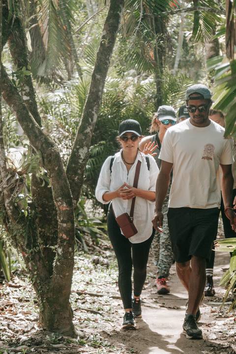 Retiro de Yoga realizado em meio à natureza em Ubatuba'