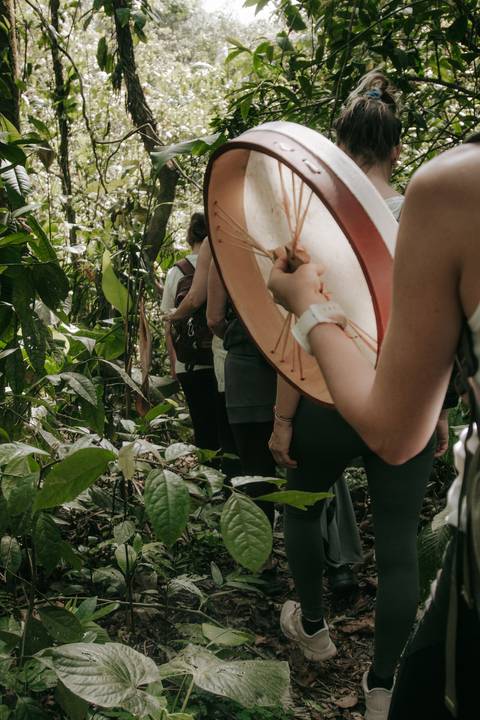 Retiro de Yoga realizado em meio à natureza em Ubatuba'