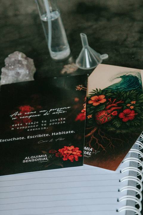 Workshop e Vivência durante retiro em Itamambuca Ubatuba'