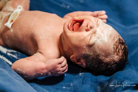 fotografia de parto - hospital rio grande - maternidade delfin - natal rn - parto cesaria - fotografo de parto - familia - nascimento - fotografo em natal - fotografo de familia - parto normal - medico - obstetra - parto natural - promater - unimed - mae'