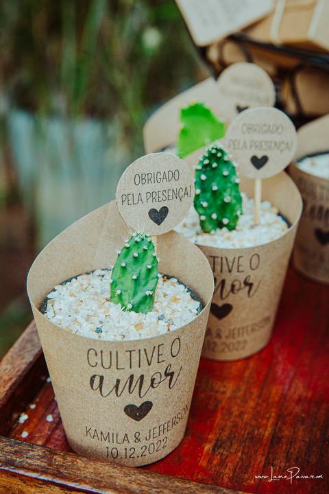 casamento, fotografia de casamento, fotógrafo de casamento, casal, wedding, fotografo em natal, casamento civil, decoração, casamento natal, cerimonialista Rosania Amara, flor e flor, vestido de noiva, familia, festa, casamento a tarde, fim de dia'