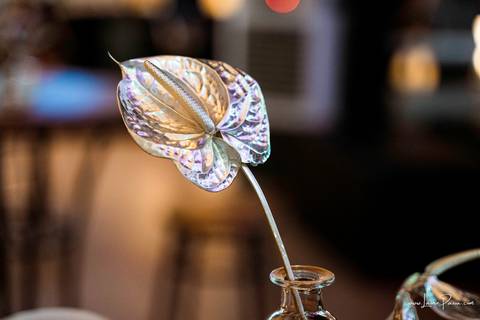 aniversario de 40 anos, tema boate, Chaplin Recepções, Algodão doce Cerimonial,  Banda Som e Balanço , Sax in the House, bolo, familia, fotografia de aniversario, festa, fotografo em natal, amigos, aniversario de adulto, moda, looks, club, night'