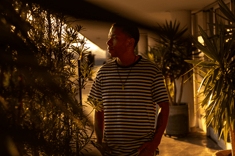 jerf no terraço do mac através das folhagens '