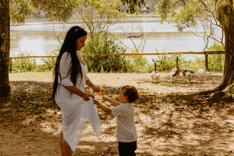 le e lolo de mãos dadas em frente ao lago, com gansos ao fundo'