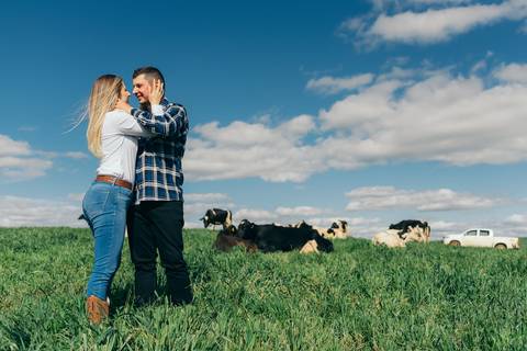 ensaio pré wedding daniela radavelli fotografia ensaio de casal fotos rurais ensaio pré casamento ensaio com vacas vacas pastando ensaio no campo '